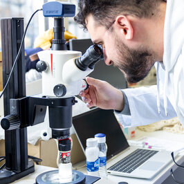 Mikroskop: Plastikabrieb einer Salzmühle wird angeschaut