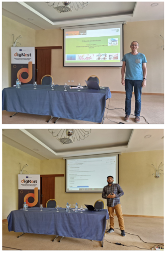 DigNest Spring School 2024 in Montenegro (I4883)