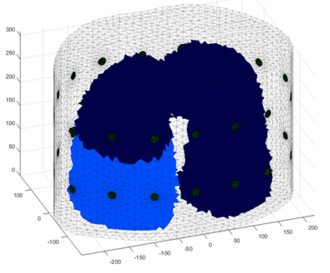 The utilization of the two lungs with light blue and dark blue