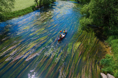 Kanufahrt auf der Donau bei Tuttligen