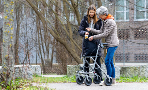 Key visual of programme