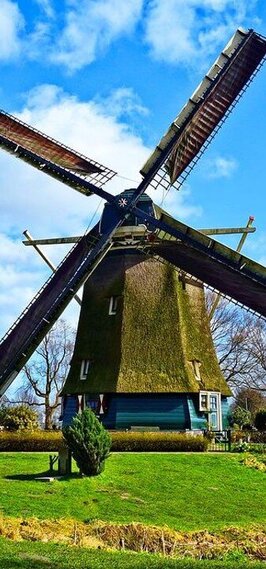 Mein Auslandssemester im Studiengang Molekulare und Technische Medizin (I11122)