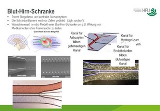 You can see an overview slide with various images of the blood-brain barrier