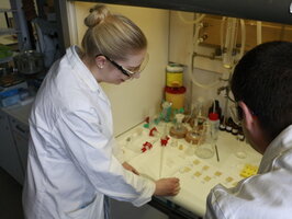 Organic and Bio-organic Synthesis Lab
