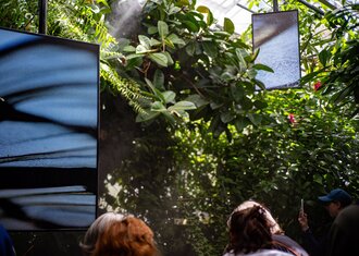 Die Displays im Schmetterlingshaus auf der Mainau