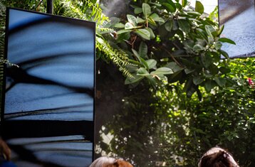 Displays in the butterfly house on the island of Mainau
