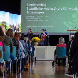 String trio on the stage