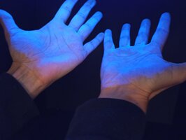 [Translate to English:] 