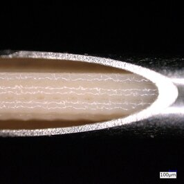 Close-up of a cannula