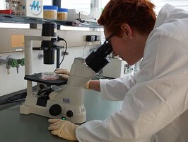 Studierender forscht